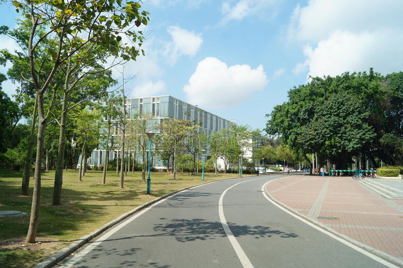 改革先锋 政府高效