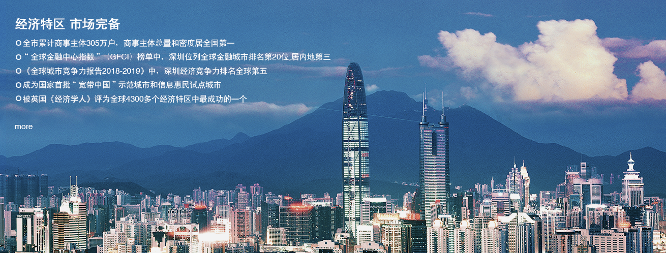 经济特区 市场完备